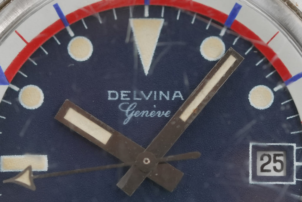 Delvina