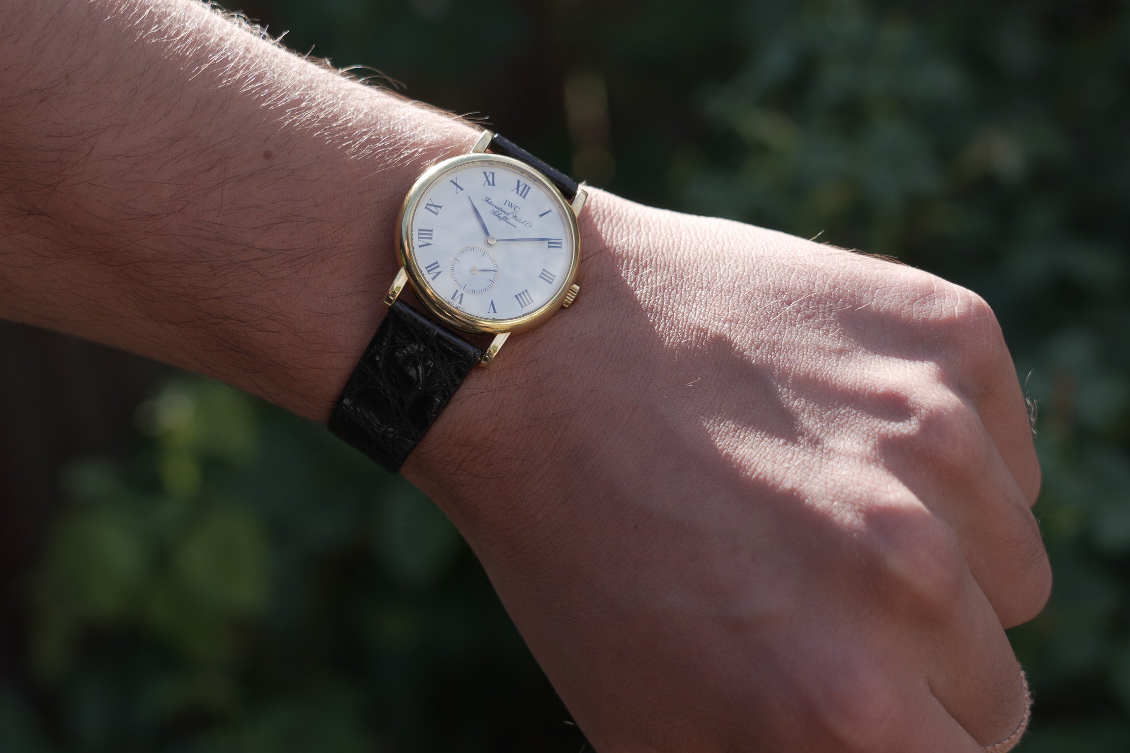 IWC Portofino